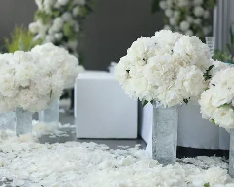 White peonies in glass vases on a floor scattered with white petals