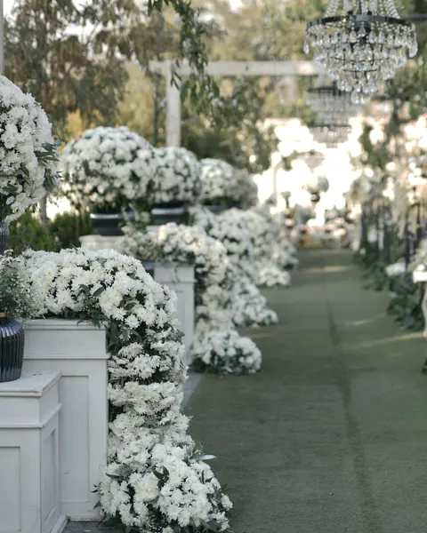 A grass walkway lined with white plinths of dense white flowers under hanging chandeliers